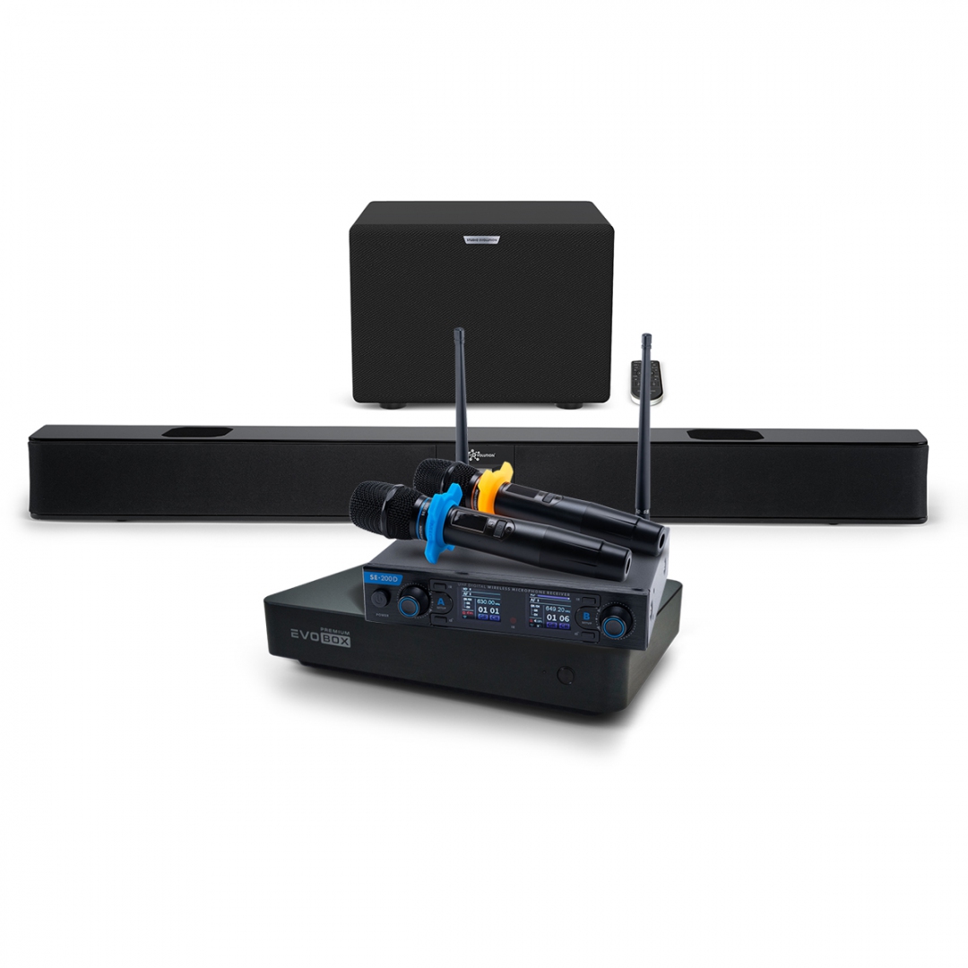 Hi-End караоке-система EVOBOX Premium + EvoSoundBar (саундбар с караоке) в Новосибирской области