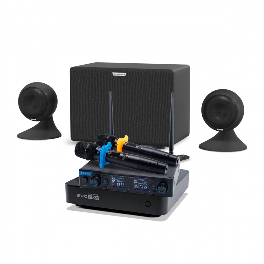 караоке-комплект EVOBOX + EvoSound Sphere 2.1 в Новосибирской области