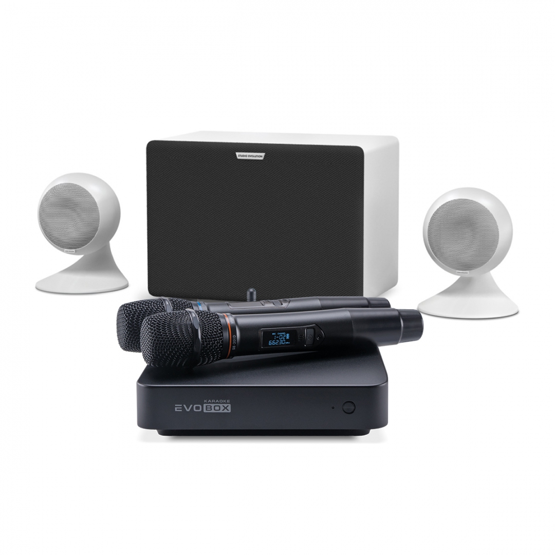 караоке-комплект EVOBOX Classic + EvoSound Sphere 2.1 в Новосибирской области