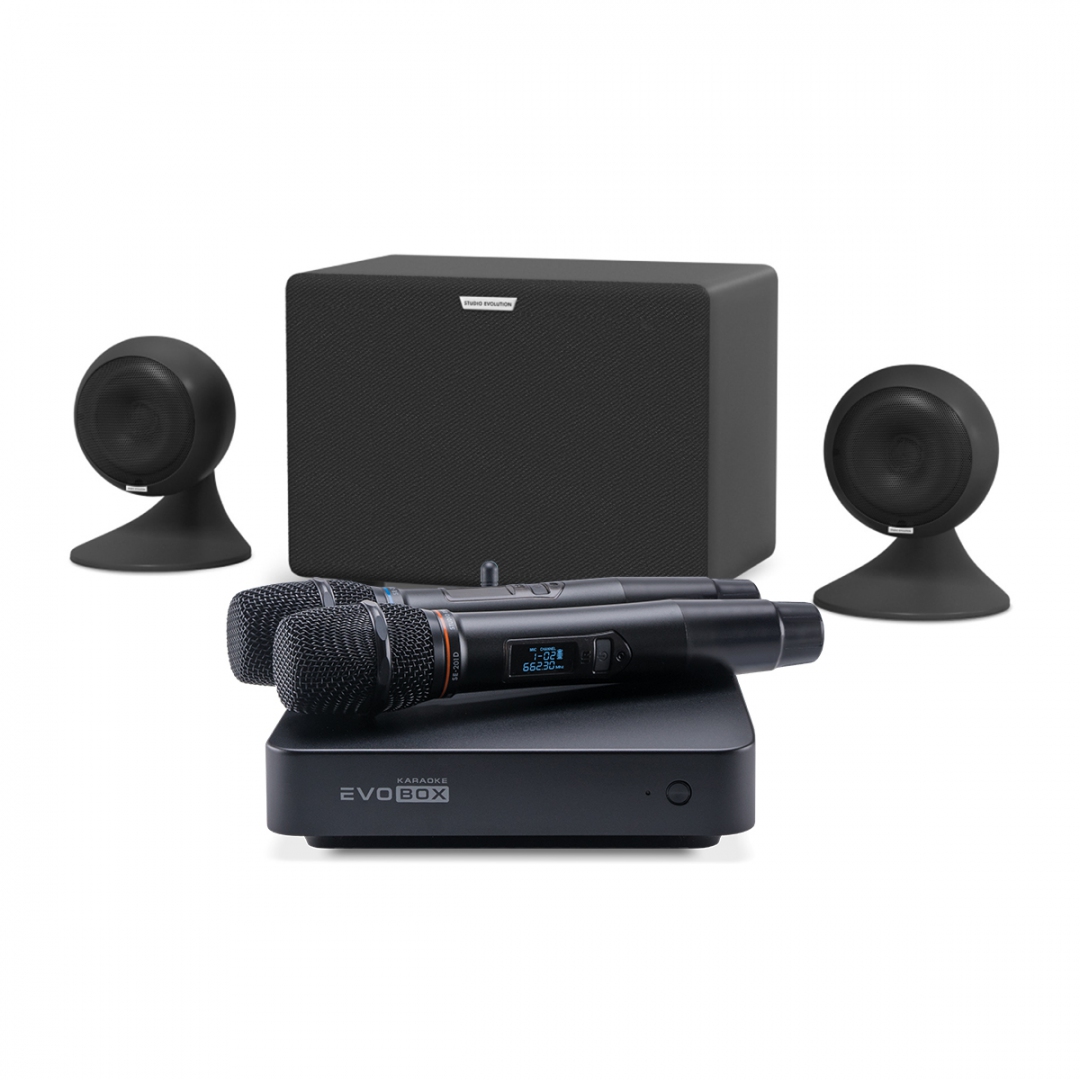 караоке-комплект EVOBOX Plus + EvoSound Sphere 2.1 в Новосибирской области