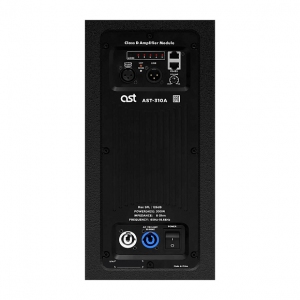 Активная акустическая система AST-310A в Новосибирской области