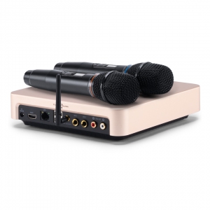 EVOBOX Plus караоке-система для дома в Новосибирской области